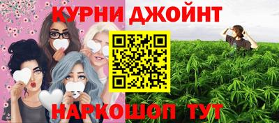 шишки Кузнецк