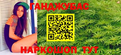 шишки Кузнецк