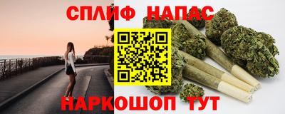 шишки Кузнецк