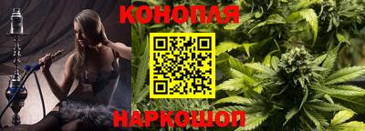 шишки Кузнецк