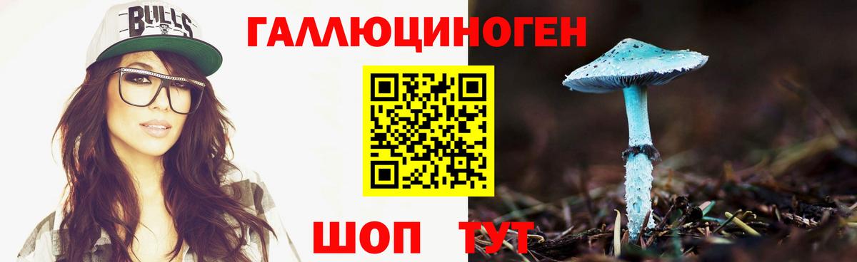 Псилоцибиновые грибы Cubensis  продажа наркотиков  Новотроицк  Вход с VPN 
